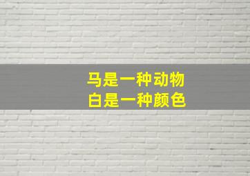 马是一种动物 白是一种颜色